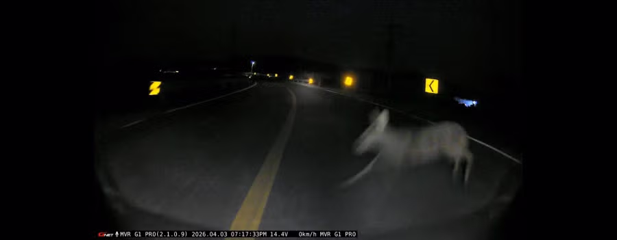 오토바이 사고 원인파악 했습니다 5