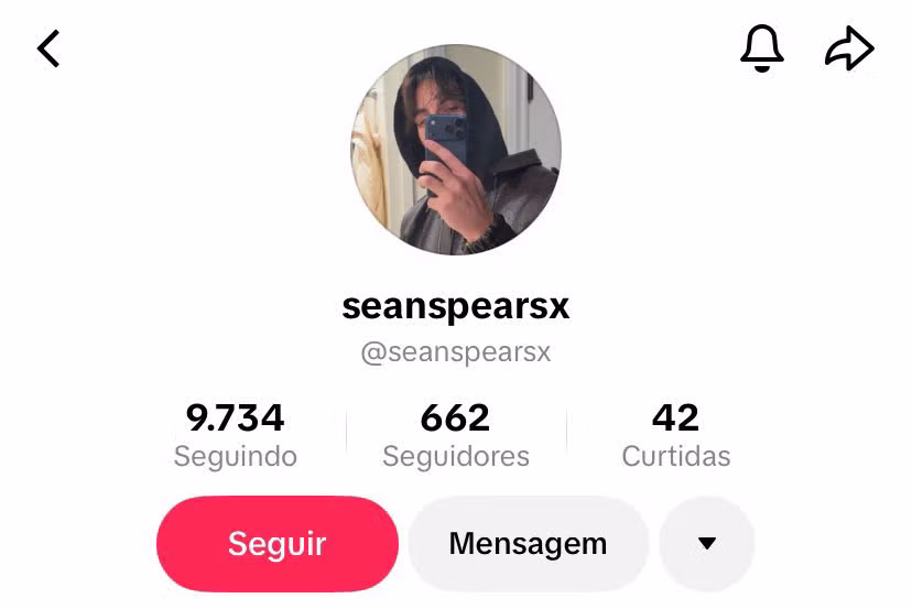 해외에서 반응 안 좋은 브리트니 아들들 근황 4