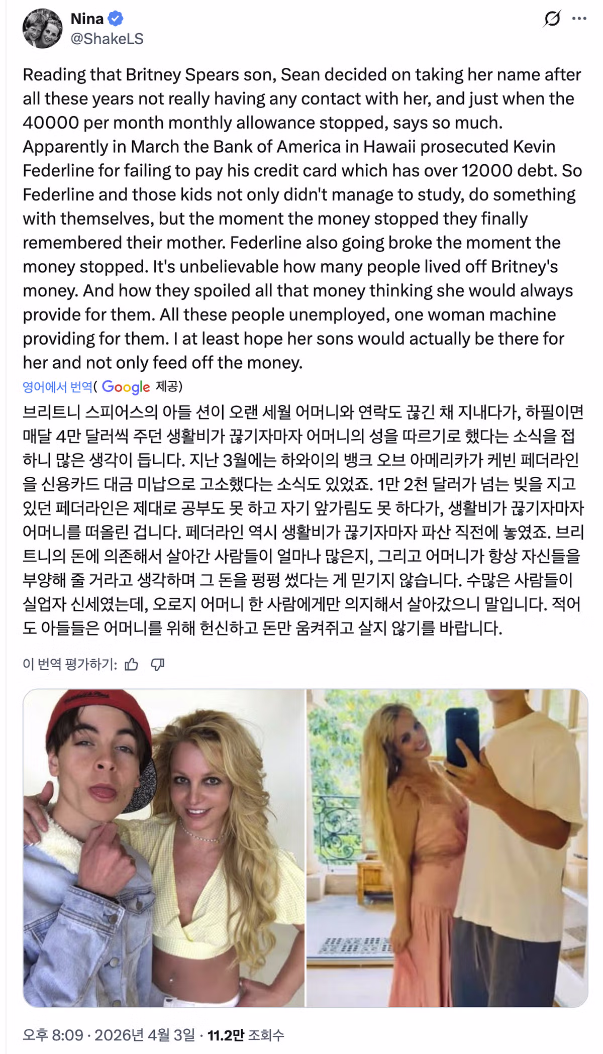 해외에서 반응 안 좋은 브리트니 아들들 근황 5