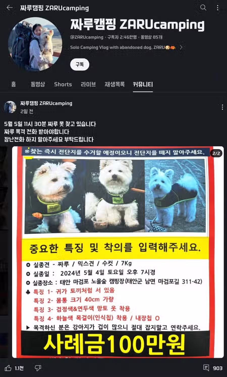 애완견 캠핑 유튜버 논란 ㄷㄷㄷㄷ 2