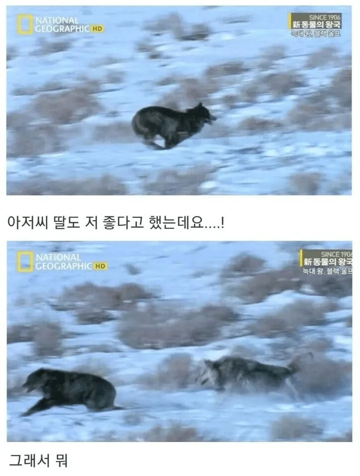 아저씨 딸도 저 좋다는데요 7