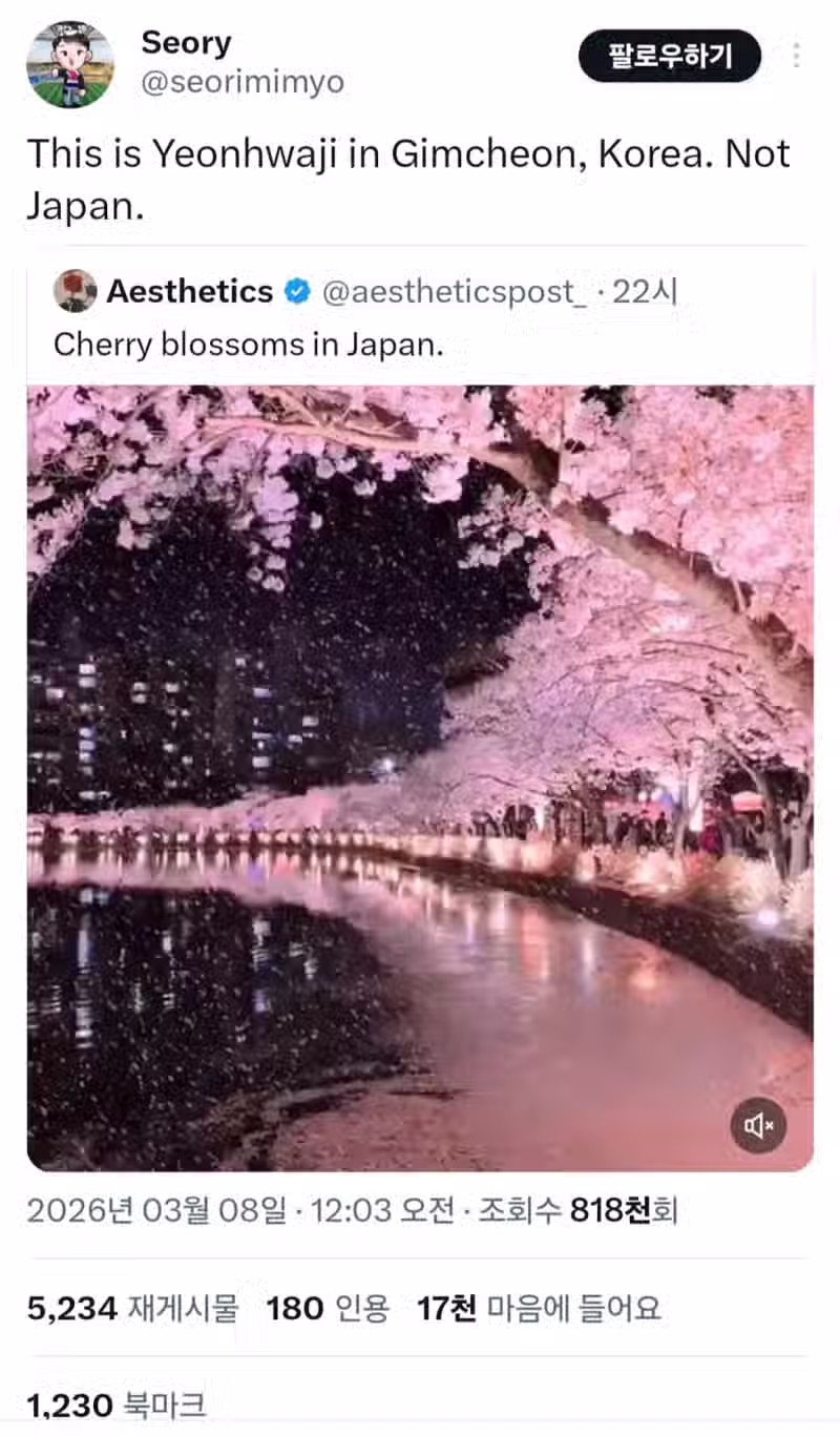 조회수 100만 넘은 일본 벚꽃풍경 2