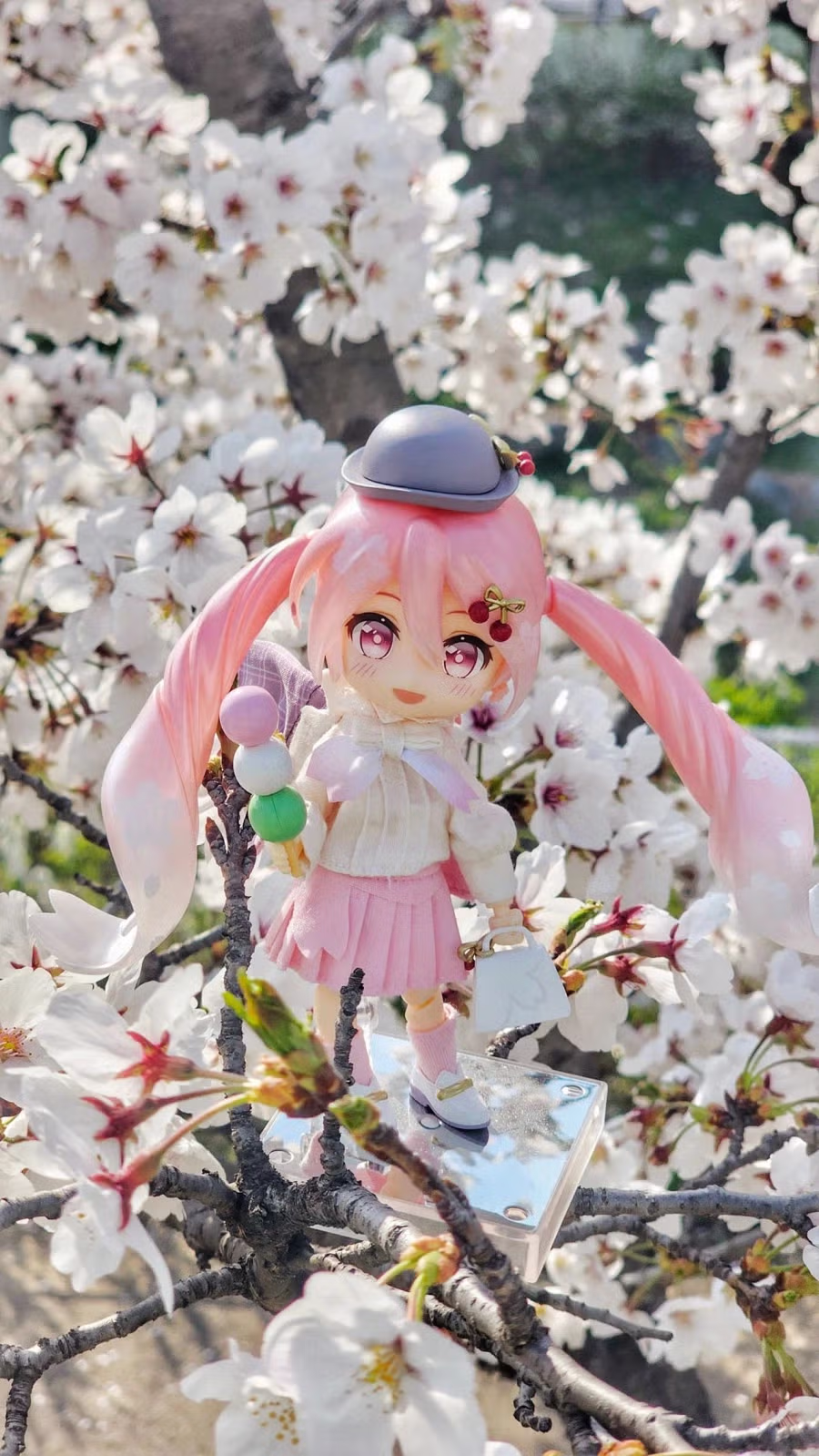 벚꽃날리는 날에 사쿠라미쿠 피규어를 찍어봤습니다 2