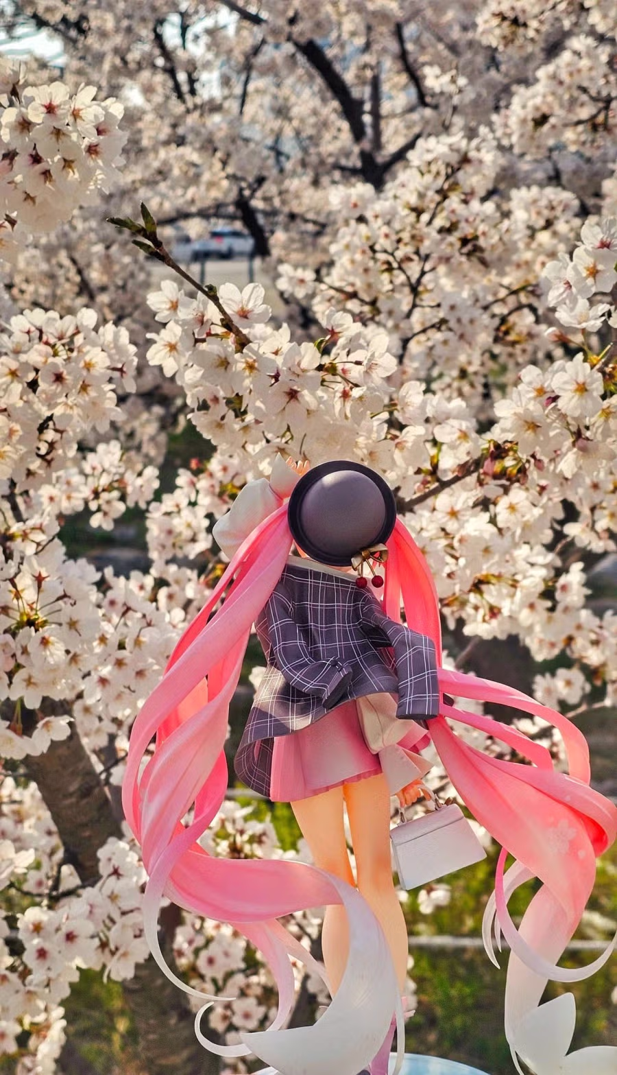 벚꽃날리는 날에 사쿠라미쿠 피규어를 찍어봤습니다 4