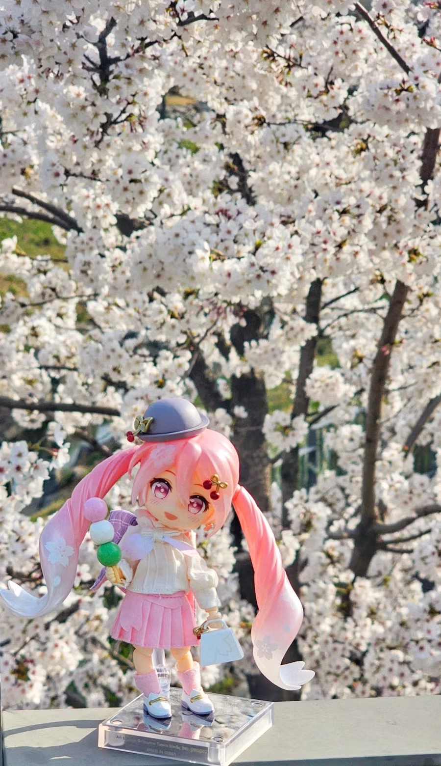벚꽃날리는 날에 사쿠라미쿠 피규어를 찍어봤습니다 10