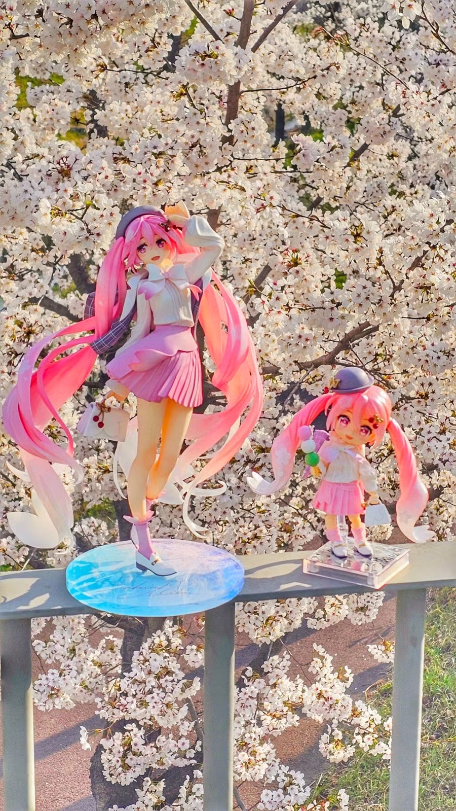 벚꽃날리는 날에 사쿠라미쿠 피규어를 찍어봤습니다 11