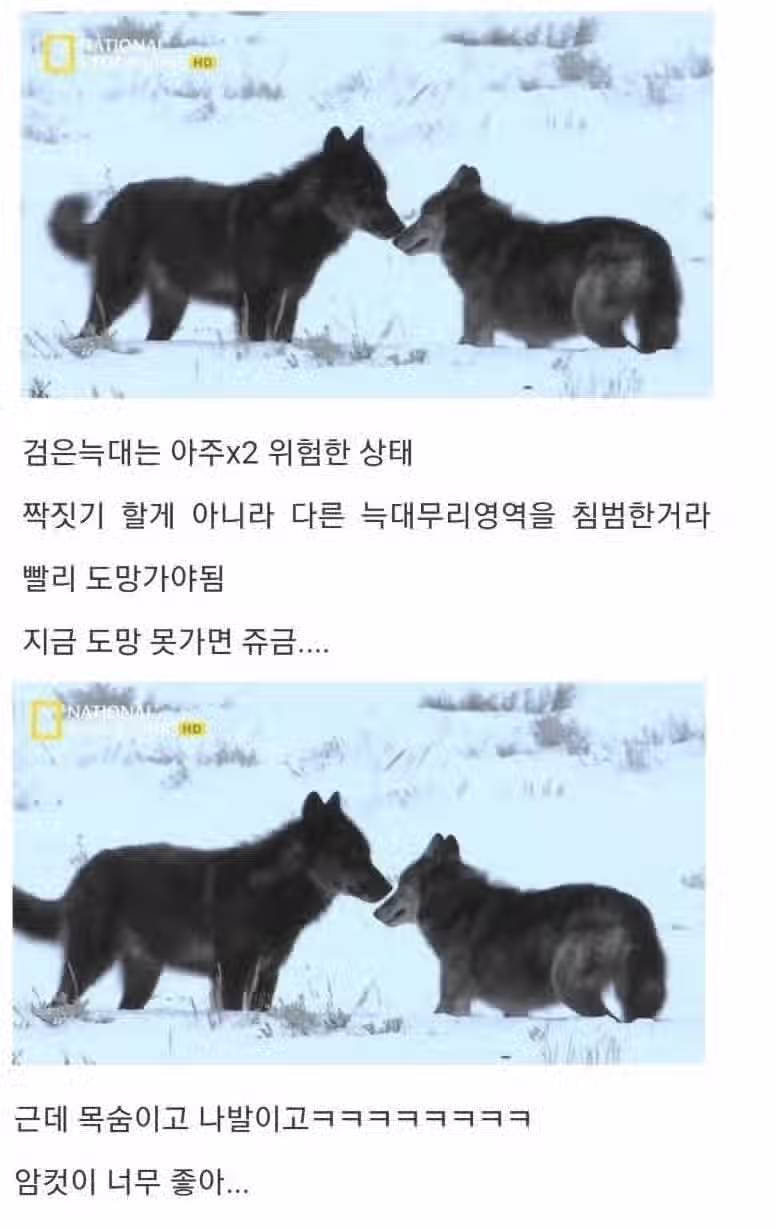 아저씨 딸도 저 좋다는데요 3