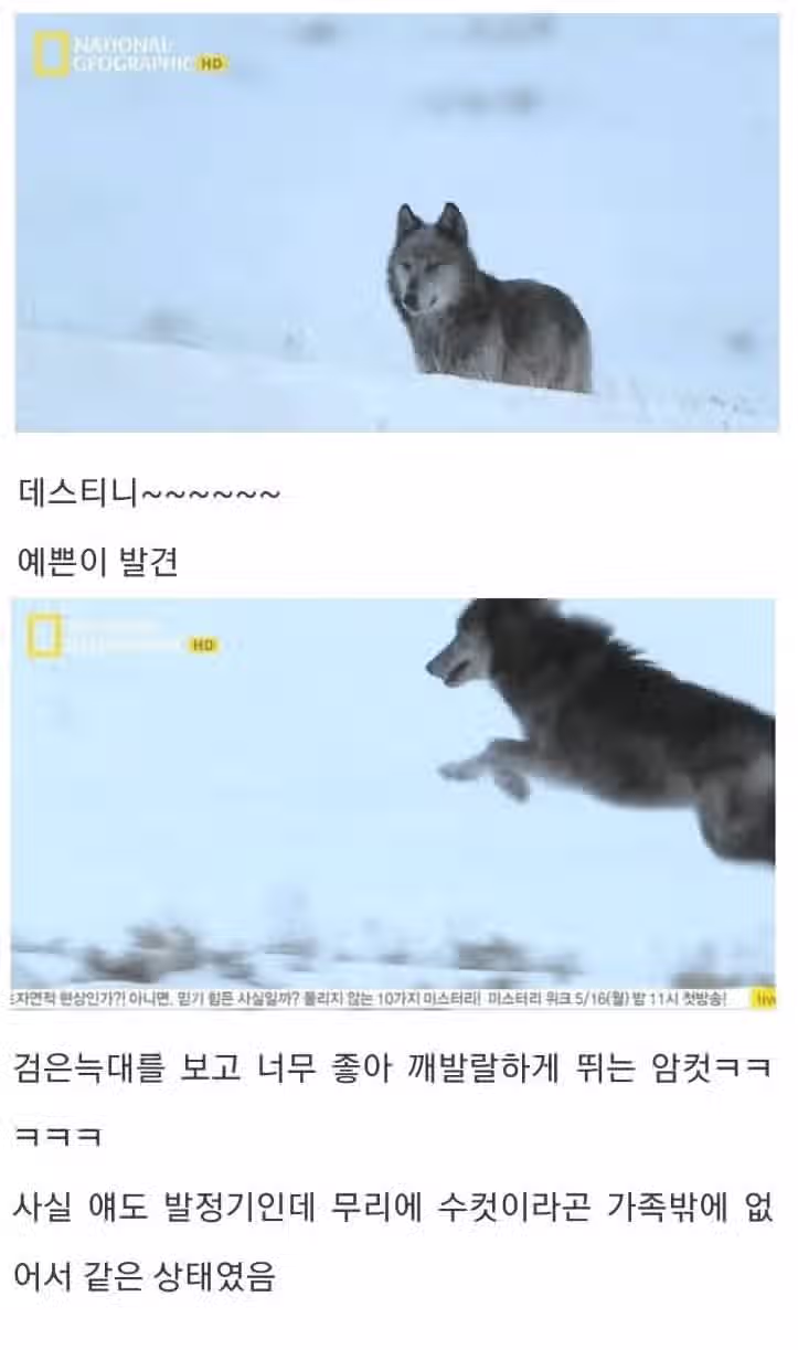 아저씨 딸도 저 좋다는데요 2