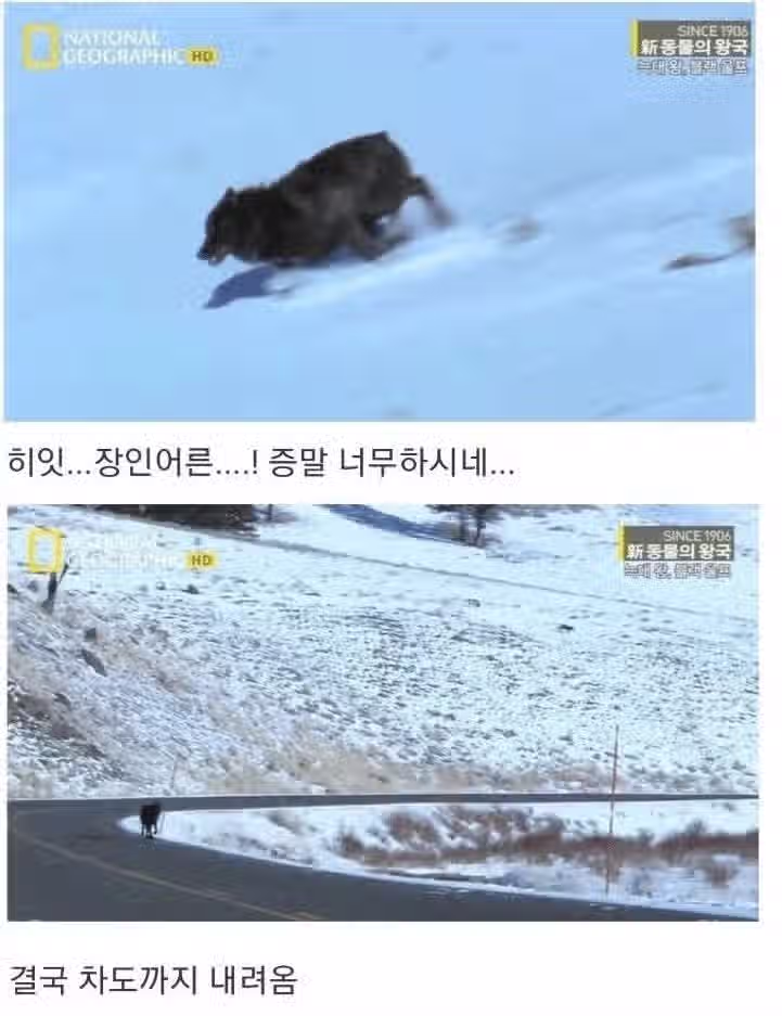 아저씨 딸도 저 좋다는데요 6