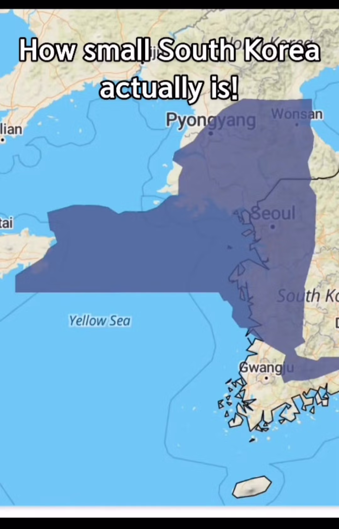 한국의 사이즈를 보고 충격받은 미국인 ㅋㅋㅋ 4