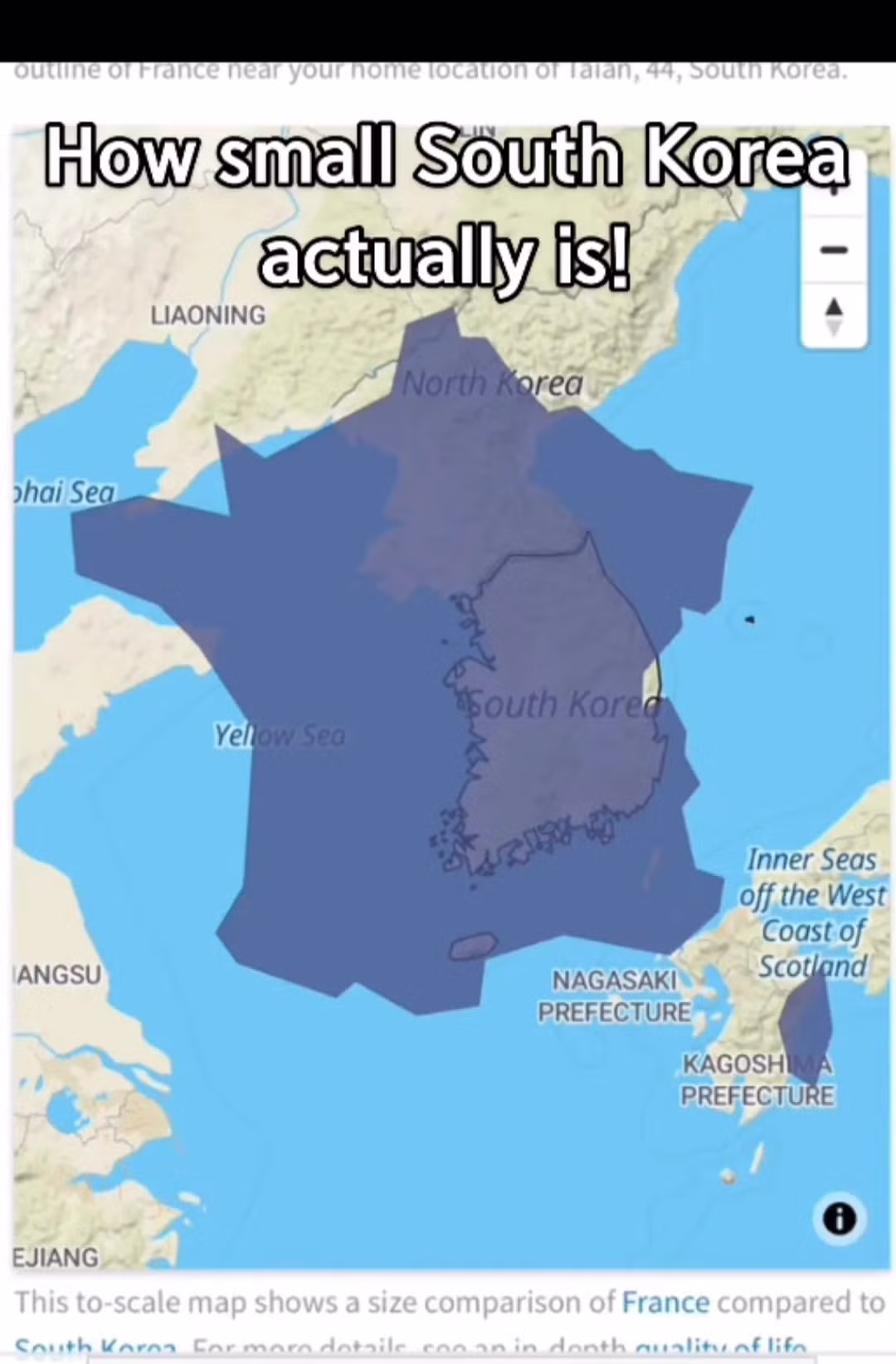 한국의 사이즈를 보고 충격받은 미국인 ㅋㅋㅋ 6