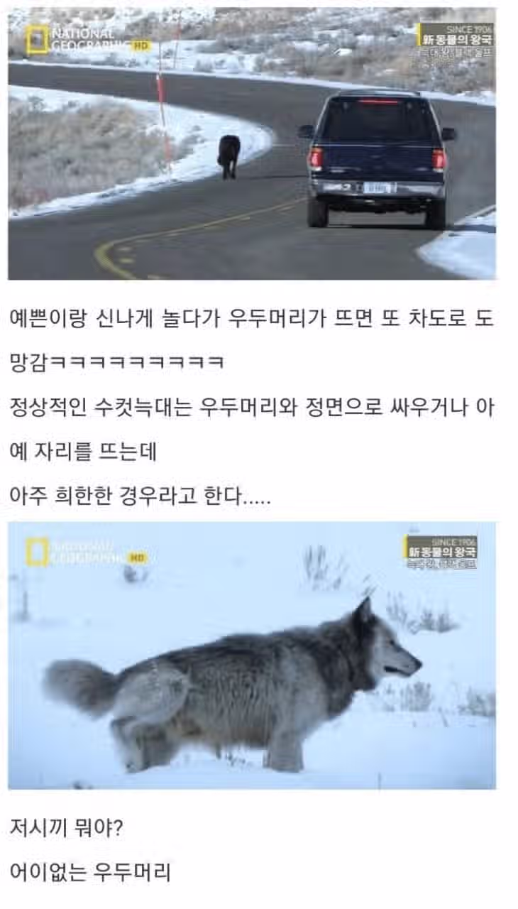 아저씨 딸도 저 좋다는데요 10