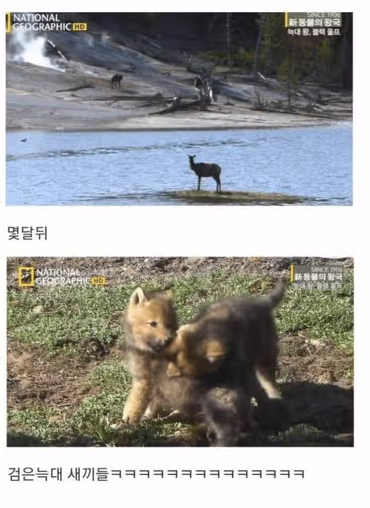 아저씨 딸도 저 좋다는데요 11