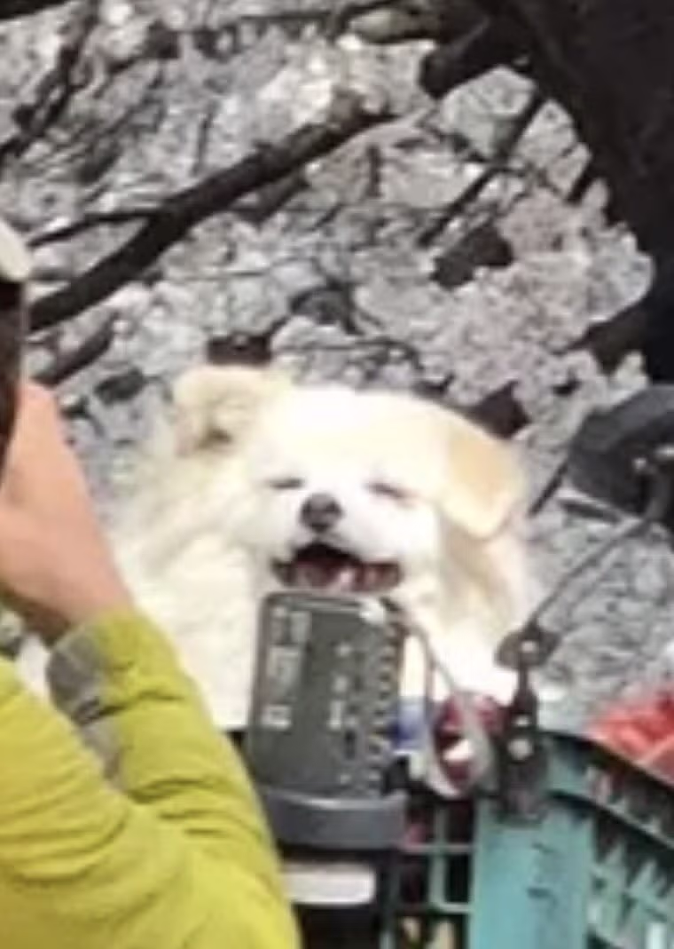 이것이 사랑이다.jpg 3