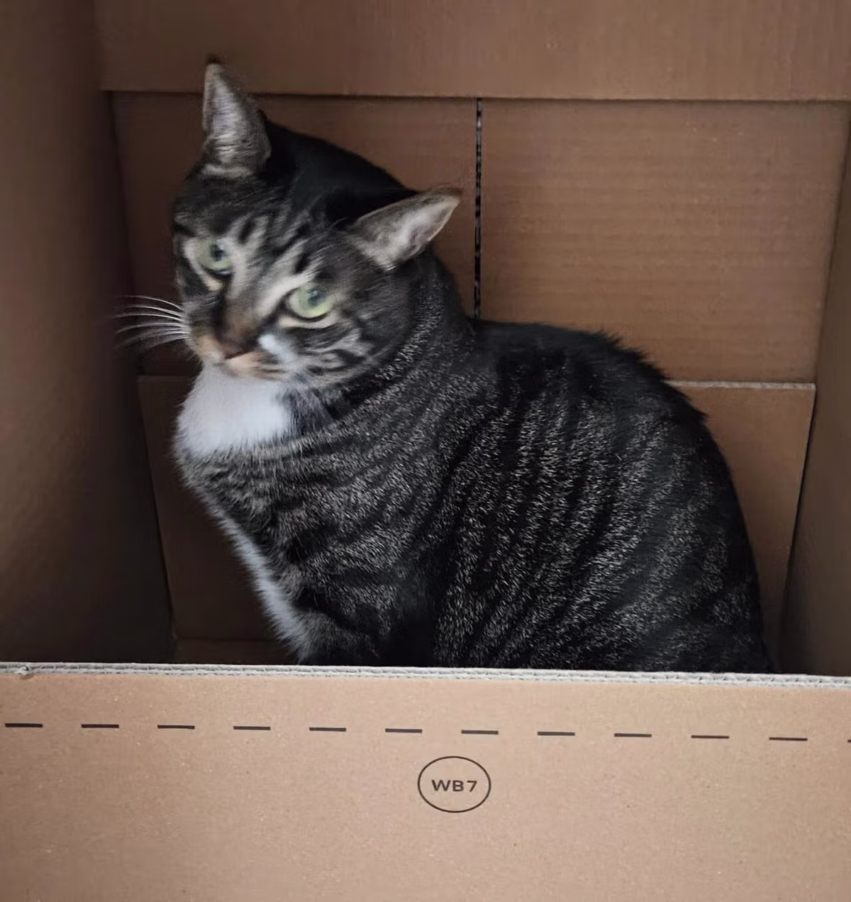 개붕이 표준명 다금바리로 플렉스 했다... 15