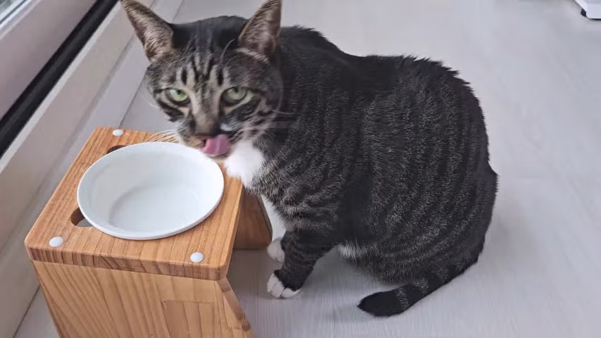 개붕이 표준명 다금바리로 플렉스 했다... 19