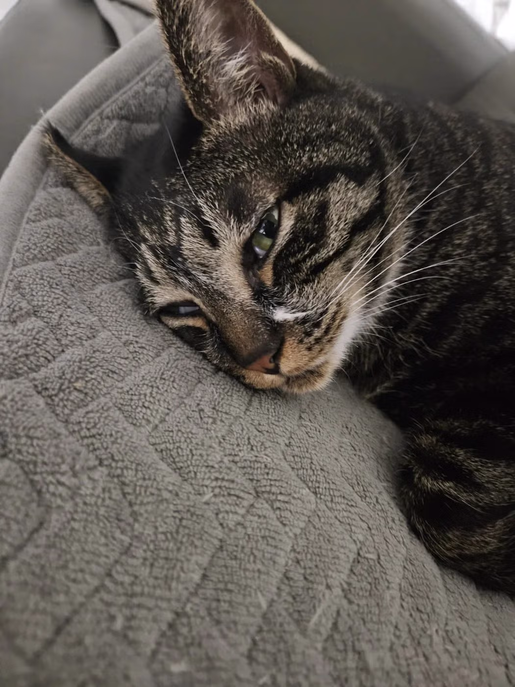 개붕이 표준명 다금바리로 플렉스 했다... 21