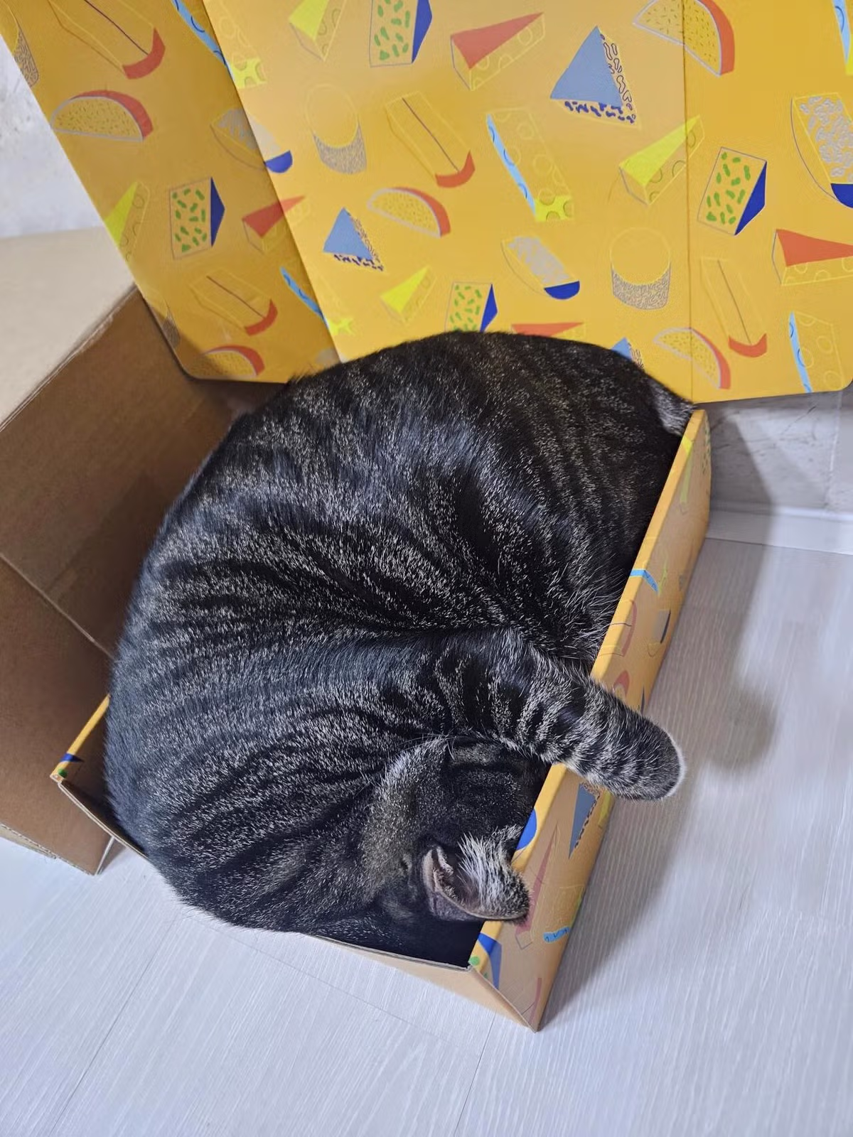 개붕이 표준명 다금바리로 플렉스 했다... 24