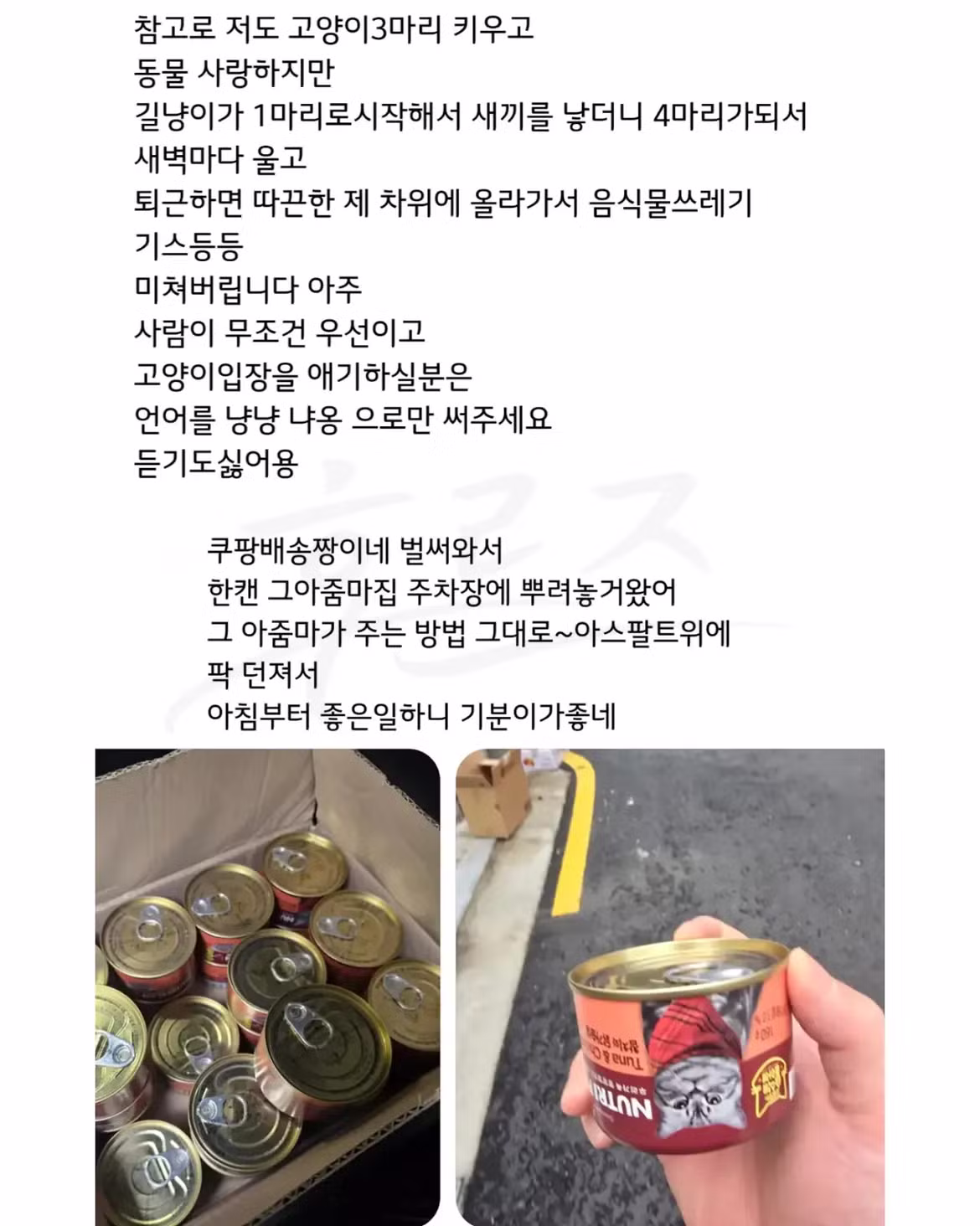 캣맘 갈등 해결하는 방법 - 와이고수 인기글 이미지 3 - 밈카세