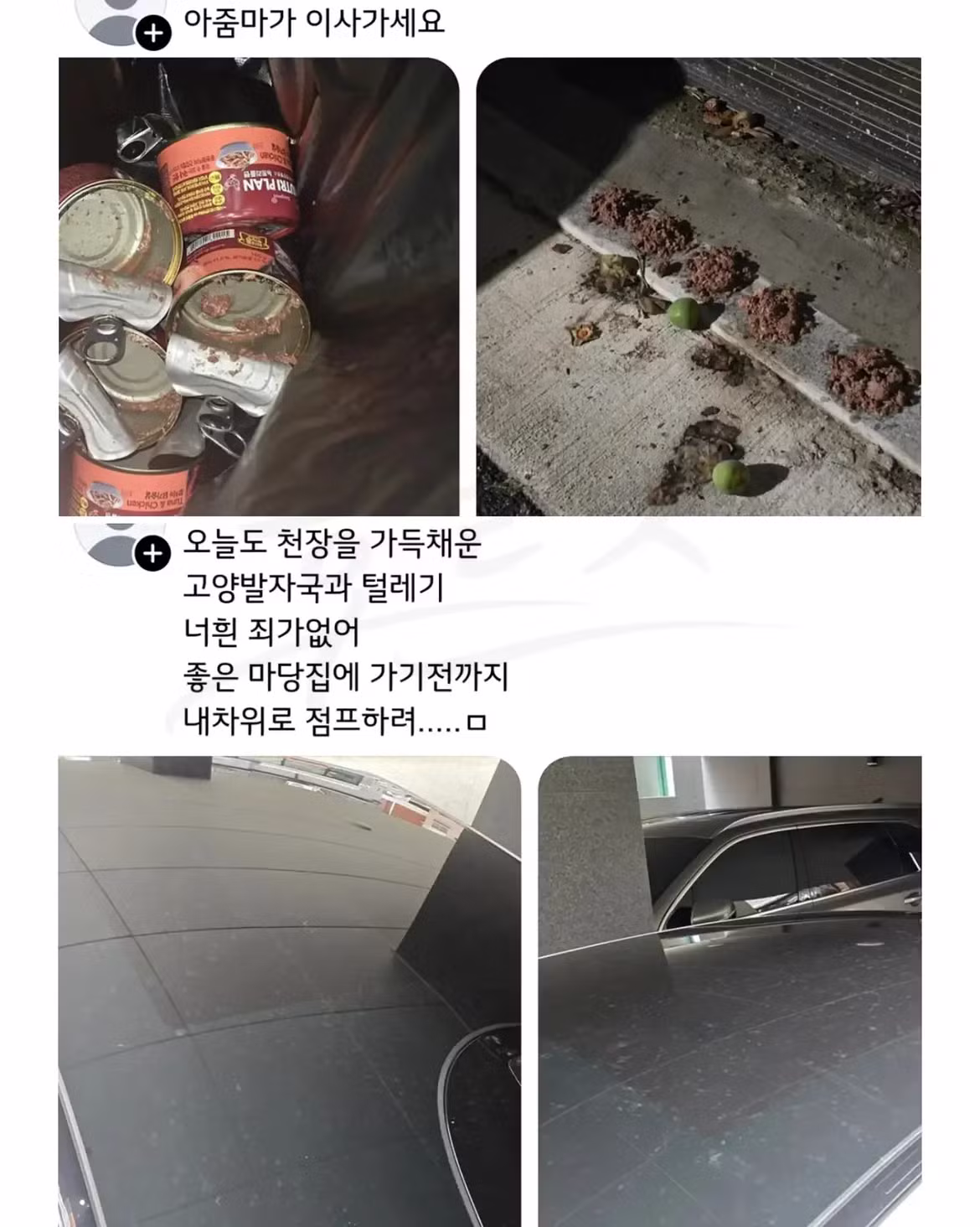 캣맘 갈등 해결하는 방법 - 와이고수 인기글 이미지 6 - 밈카세