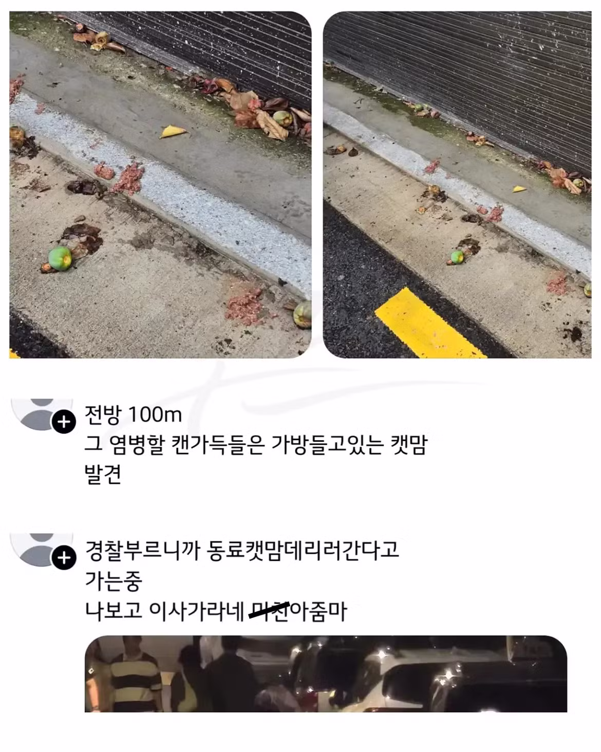 캣맘 갈등 해결하는 방법 - 와이고수 인기글 이미지 4 - 밈카세