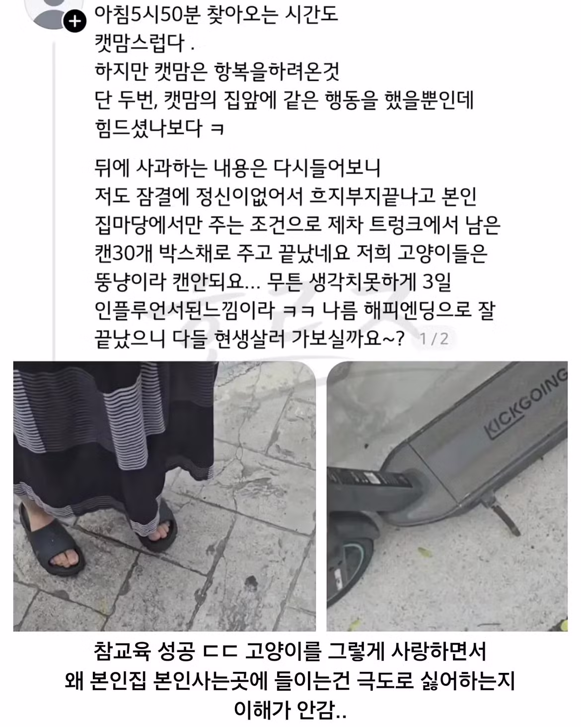 캣맘 갈등 해결하는 방법 - 와이고수 인기글 이미지 9 - 밈카세