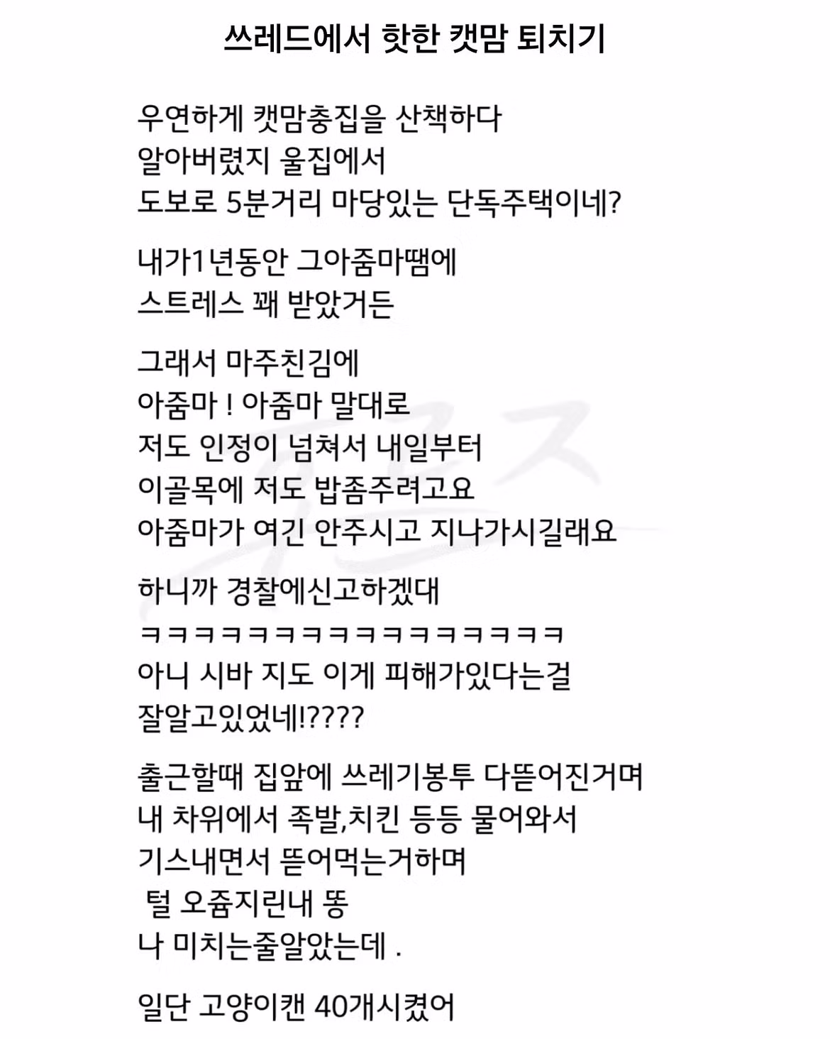 캣맘 갈등 해결하는 방법 - 와이고수 인기글 이미지 2 - 밈카세