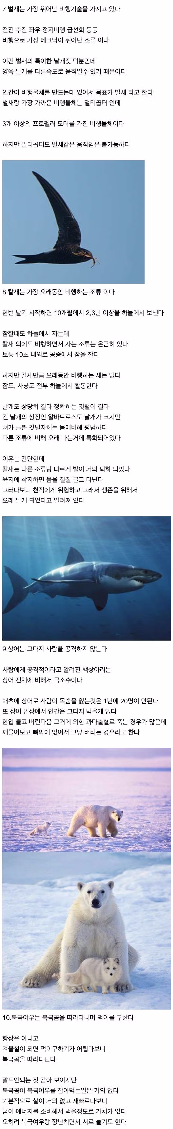 신기한 동물 지식 10가지 - 인벤 인기글 이미지 3 - 밈카세