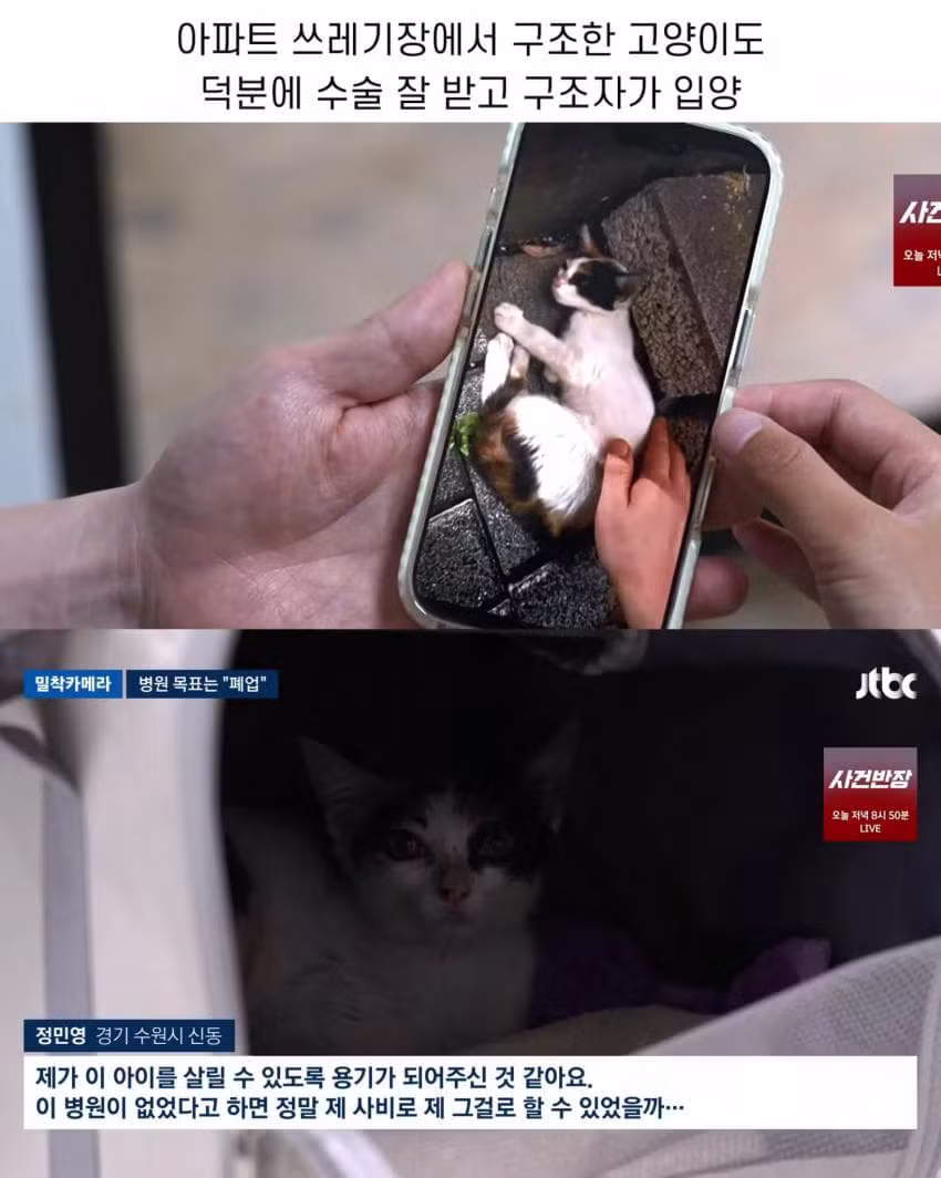 진료비 천원이라는 동물병원.jpg - 인벤 인기글 이미지 6 - 밈카세
