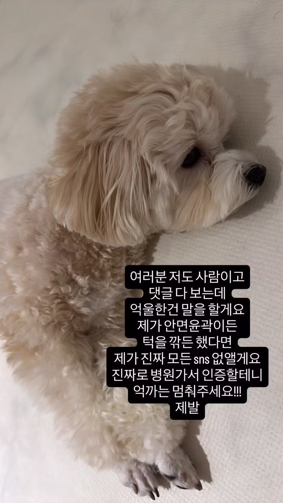 알고리즘 떡상했다가 악플 폭탄 맞은 국어쌤 - 보배드림 인기글 이미지 5 - 밈카세