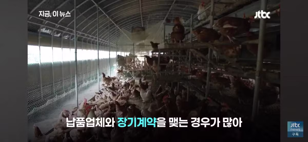 닭값 떨어졌는데 가격 안 내리는 치킨집들 - 인벤 인기글 이미지 8 - 밈카세