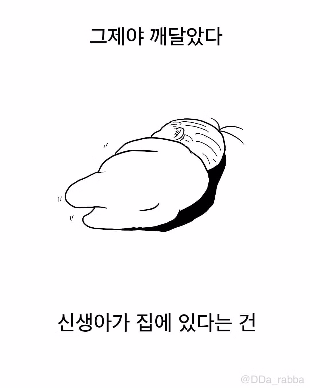 신생아가 집에 오면 벌어지는 일 - 인스티즈 인기글 이미지 5 - 밈카세