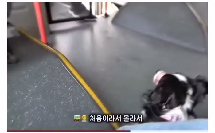 싱글벙글 청각장애인 보조견 탑승을 거부한 버스기사님 - 디시인사이드 인기글 이미지 8 - 밈카세