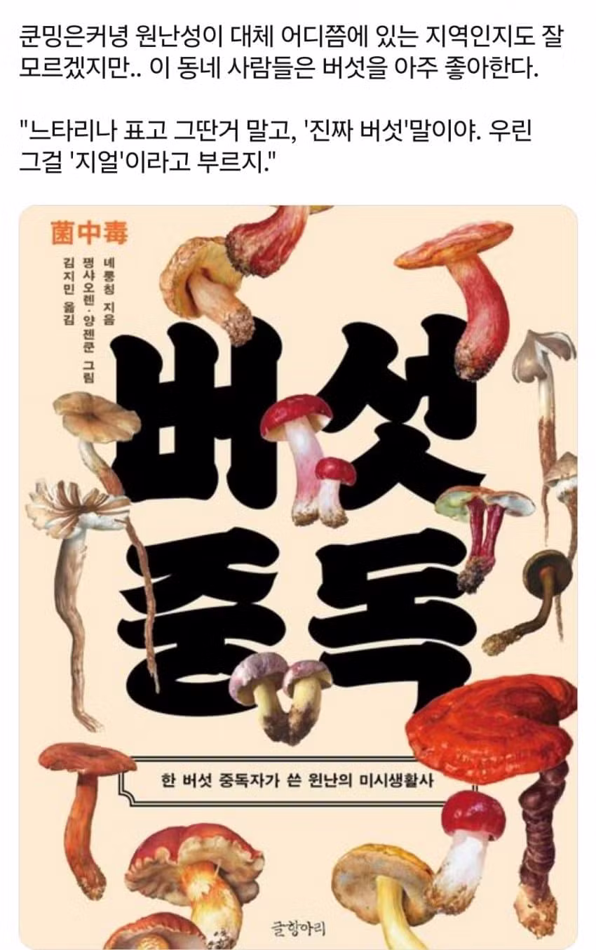 환각 보이는 독버섯 때문에 치료 전문이 된 중국 운남 지역 - 디시인사이드 인기글 이미지 7 - 밈카세
