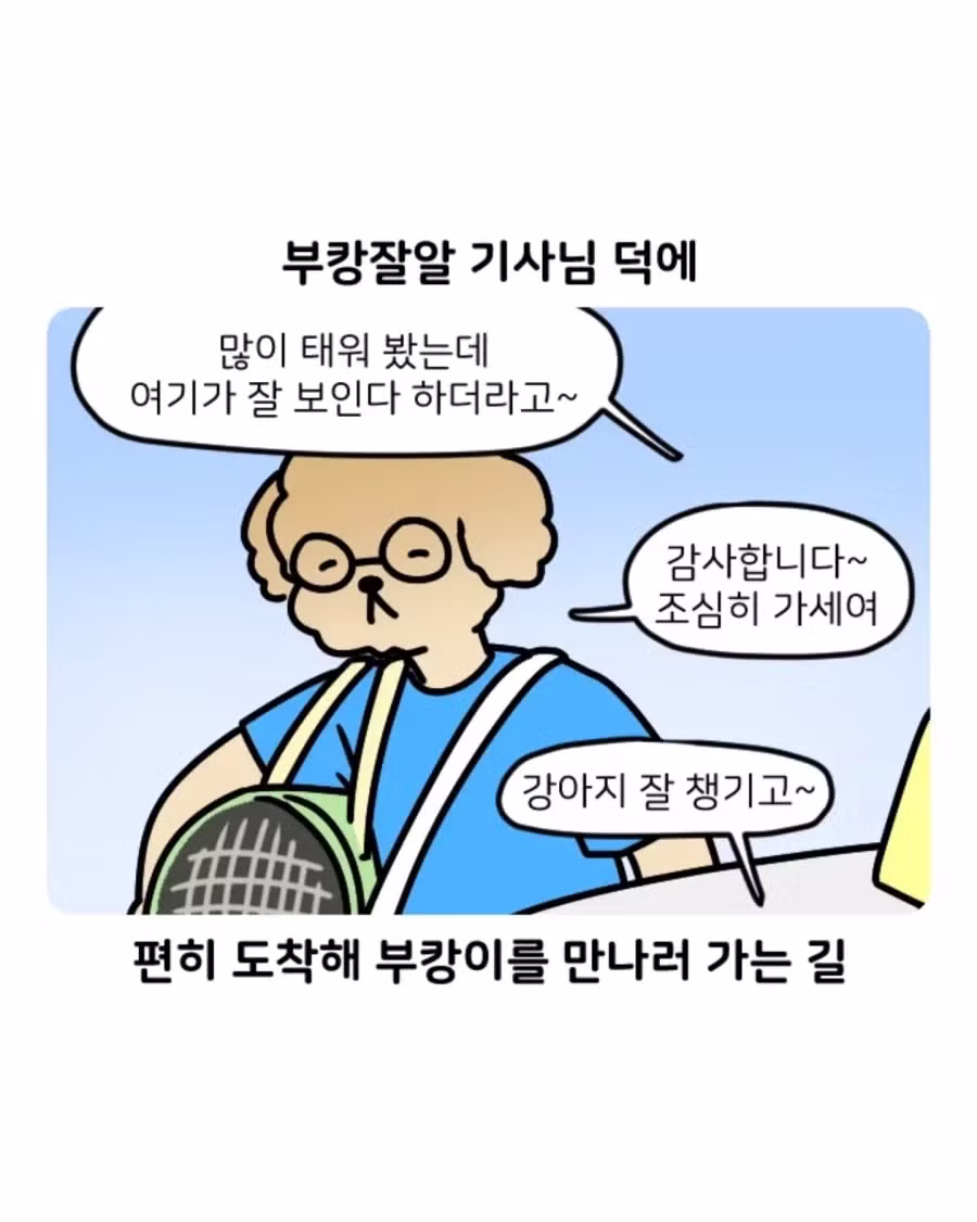 부캉이 가다 겪은 부산 택시 썰 - 디시인사이드 인기글 이미지 2 - 밈카세