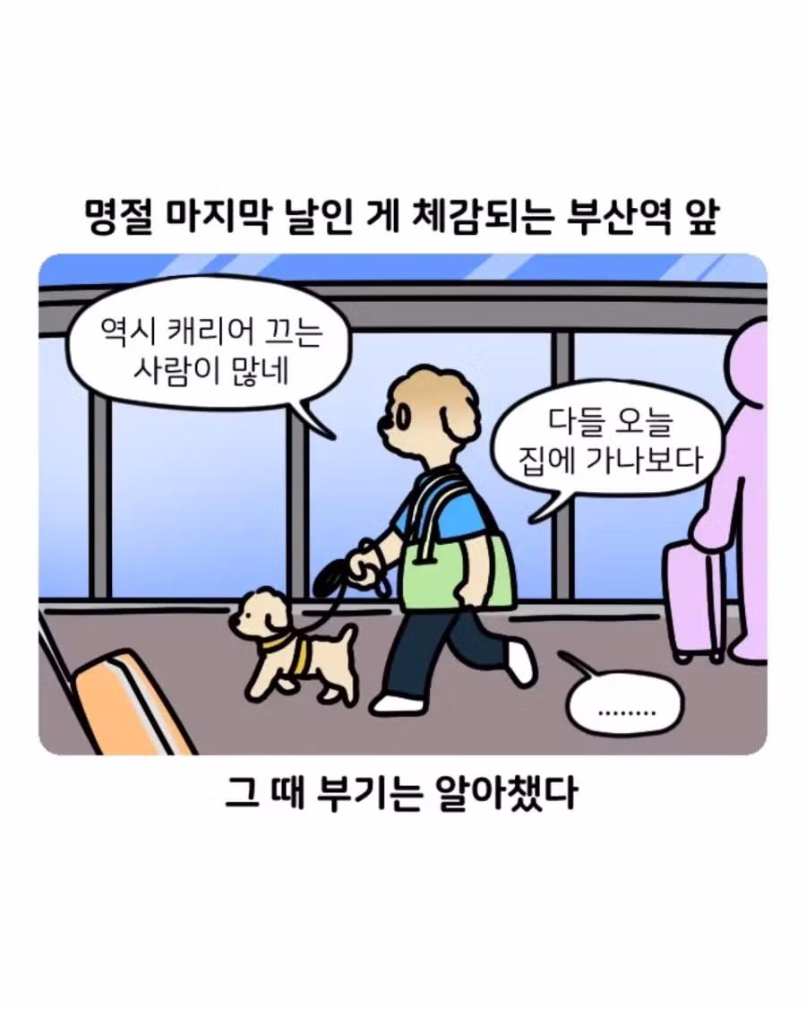 부캉이 가다 겪은 부산 택시 썰 - 디시인사이드 인기글 이미지 5 - 밈카세