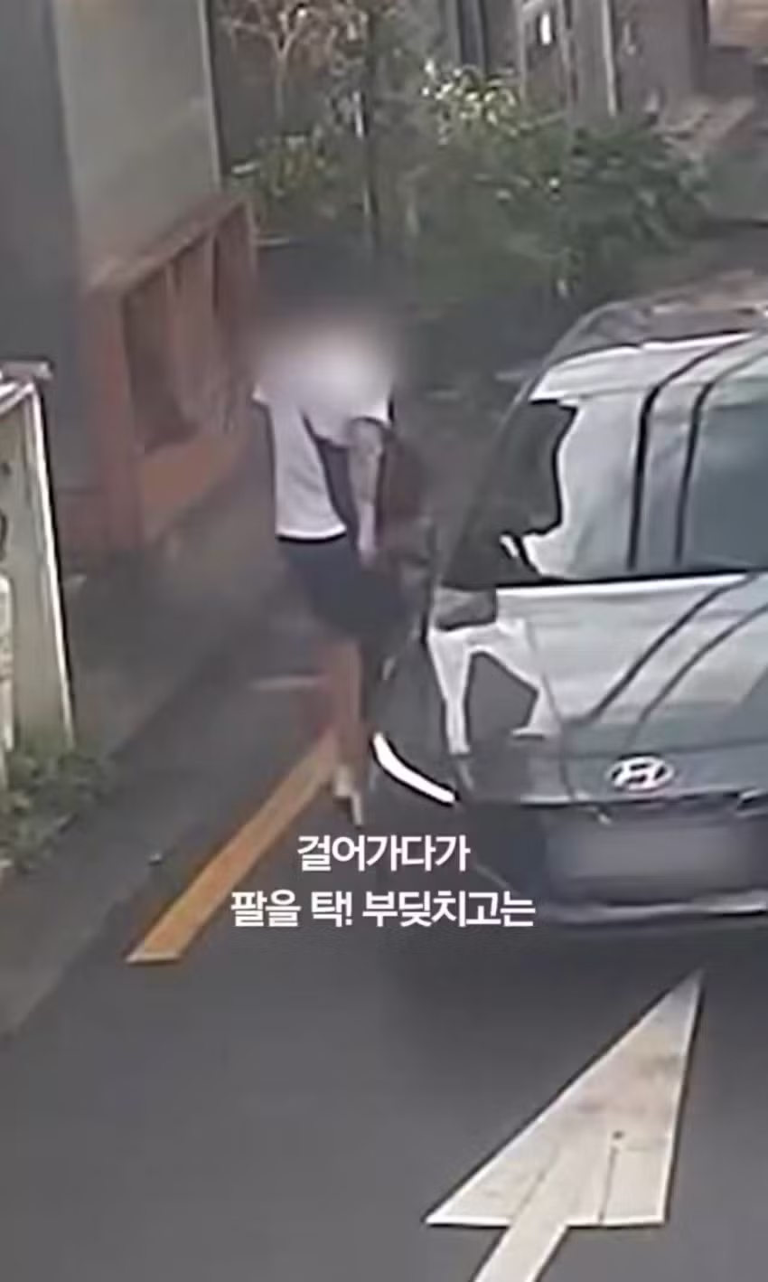 상습 보험사기범의 수법 - 보배드림 인기글 이미지 6 - 밈카세