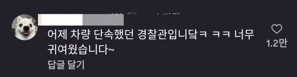 헬멧 안 써서 단속 걸린 강아지 - 에토랜드 인기글 이미지 2 - 밈카세