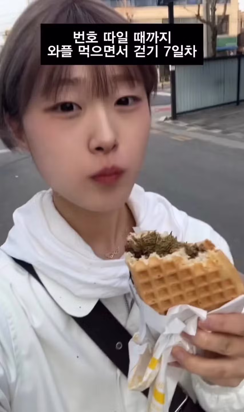 번호 따일 때까지 와플 먹으며 걷기 챌린지 결과 - 인스티즈 인기글 이미지 10 - 밈카세