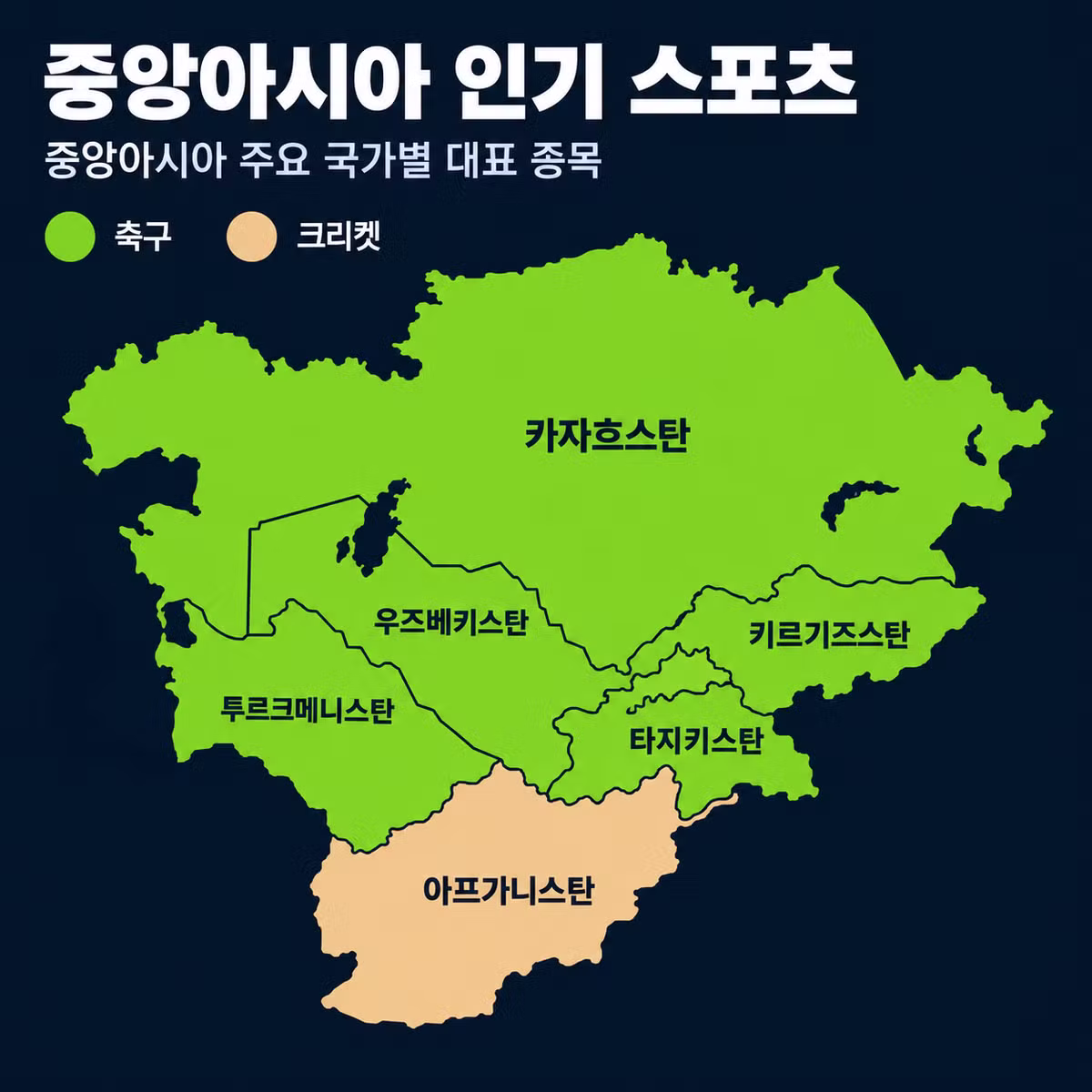 나라별 최고 인기 스포츠 정리 - 디시인사이드 인기글 이미지 7 - 밈카세