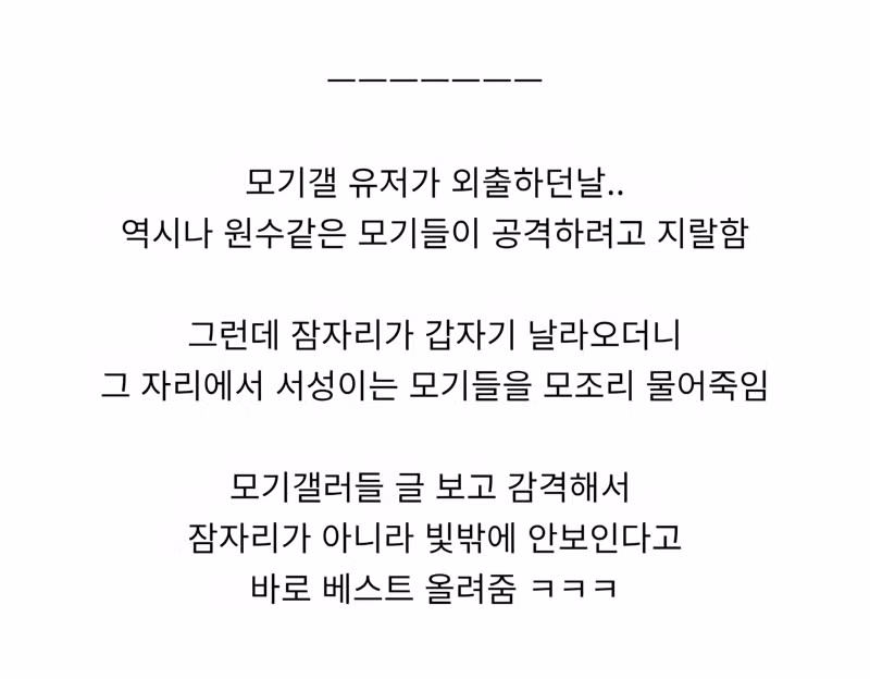 모기 갤러리 회원이 잠자리에 감동받은 이유 - 인벤 인기글 이미지 2 - 밈카세