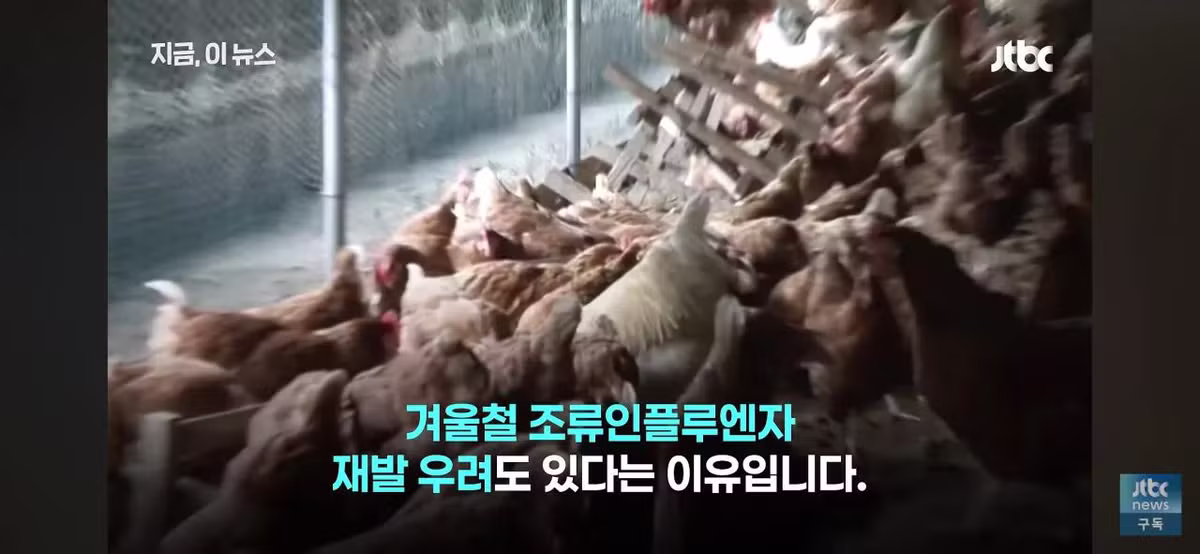 닭값 떨어졌는데 가격 안 내리는 치킨집들 - 인벤 인기글 이미지 11 - 밈카세