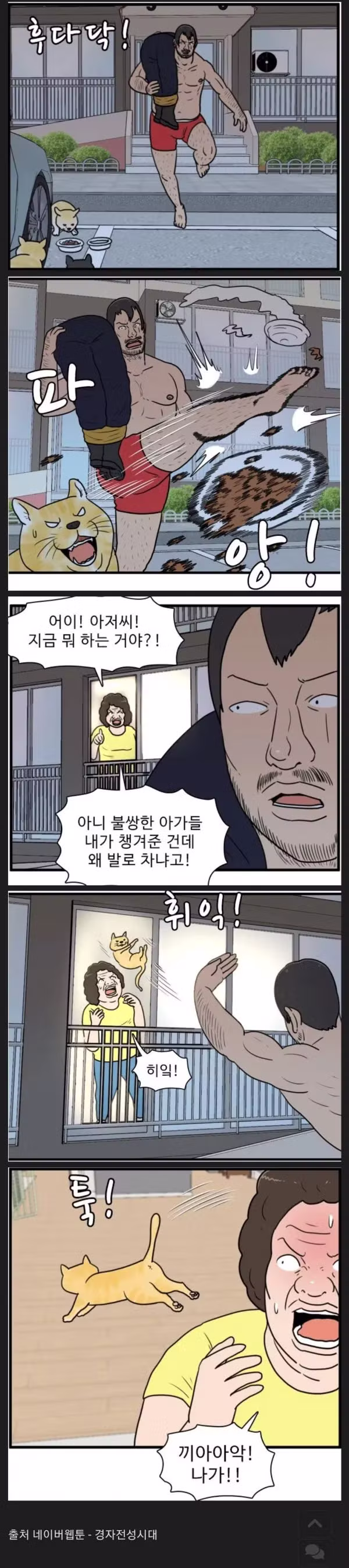 캣맘들이 발작하는 포인트 - 에토랜드 인기글 이미지 2 - 밈카세