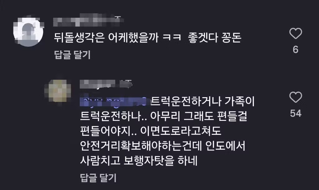 인도에서 사람 쳤는데 보행자 탓하는 트럭 운전자 - 인벤 인기글 이미지 3 - 밈카세