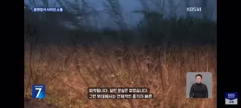 예비군 훈련장 소총 분실 사건 - 클리앙 인기글 이미지 11 - 밈카세