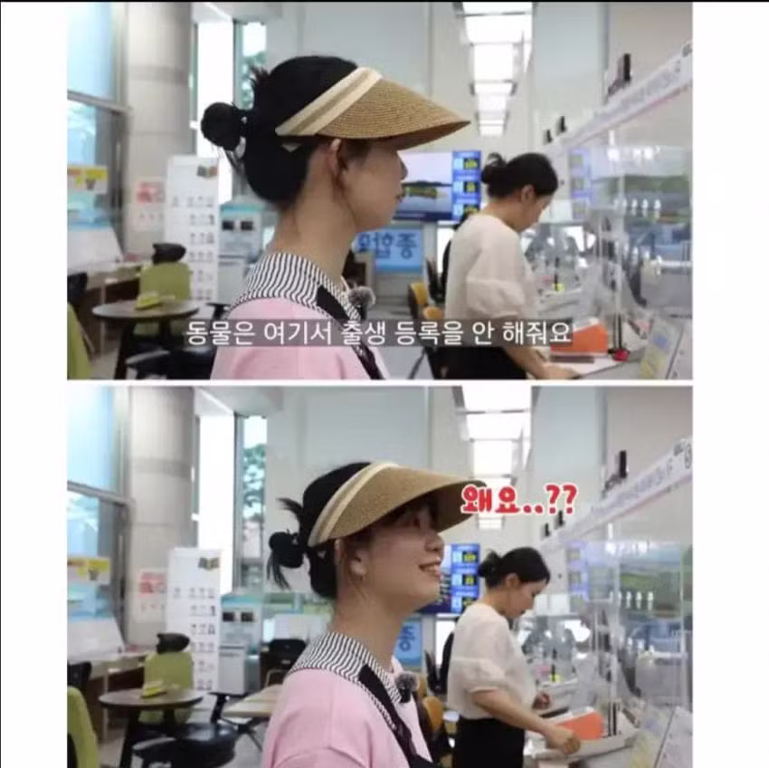 공무원 악성 민원 업데이트.jpg - 디시인사이드 인기글 이미지 3 - 밈카세