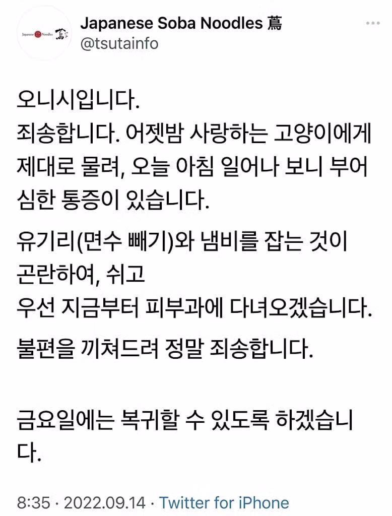 고양이한테 물려서 사망한 미슐랭 쉐프 - 디시인사이드 인기글 이미지 2 - 밈카세