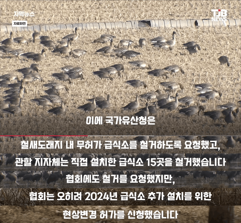 을숙도 철새보호구역에 고양이 밥 준 캣맘단체 결국 패소 - SLR클럽 인기글 이미지 2 - 밈카세