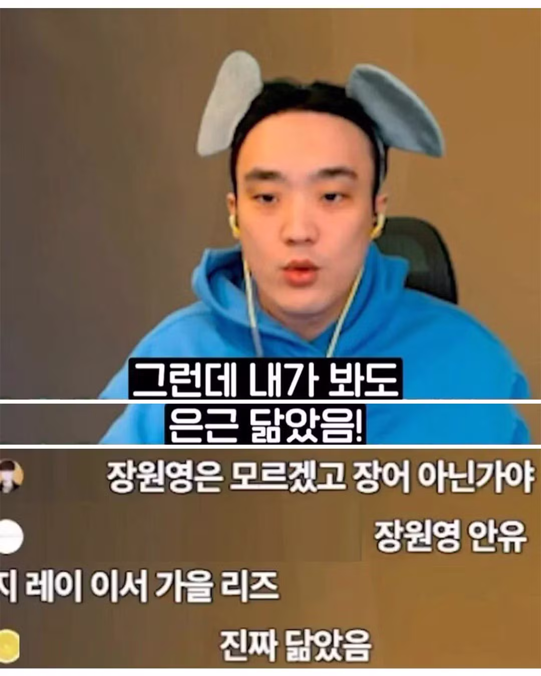 장원영 닮았다고 주장하는 스트리머 - 에토랜드 인기글 이미지 7 - 밈카세