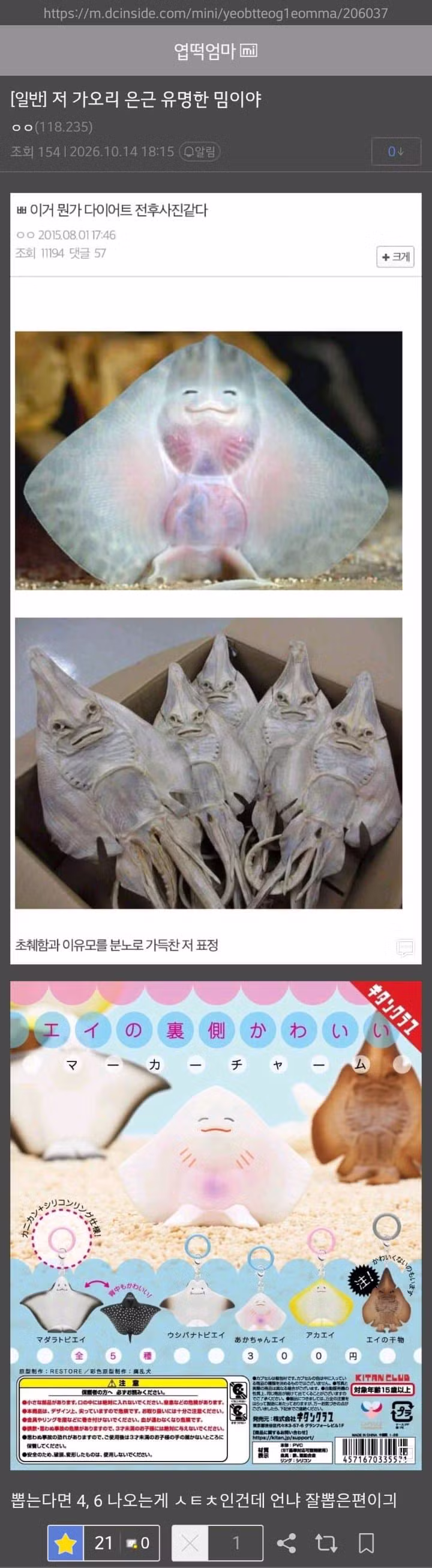 랜덤 뽑기에서 홍어 키링 뽑은 썰 - 와이고수 인기글 이미지 3 - 밈카세